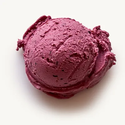 scoop of organic blueberry/blood orange sorbet. Best of the bet in boston 2024
